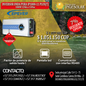 INVERSOR ONDA PURA IP1000-11 PLUS(T)
