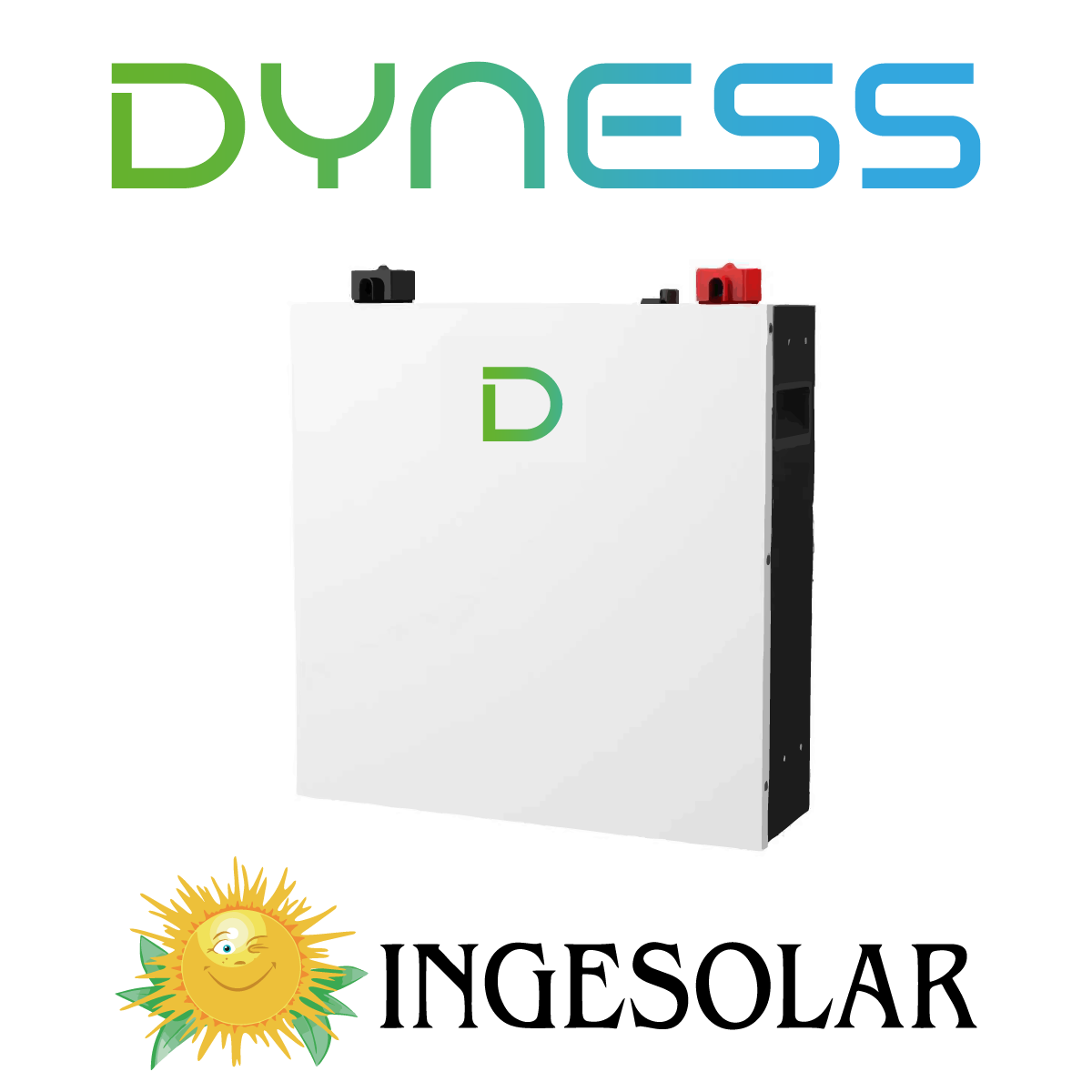 BATERIA LITIO 51.2V-100AH 6000 CICLOS-80% W:50Kg RACK -DYNESS 36 MESES DE GARANTIA